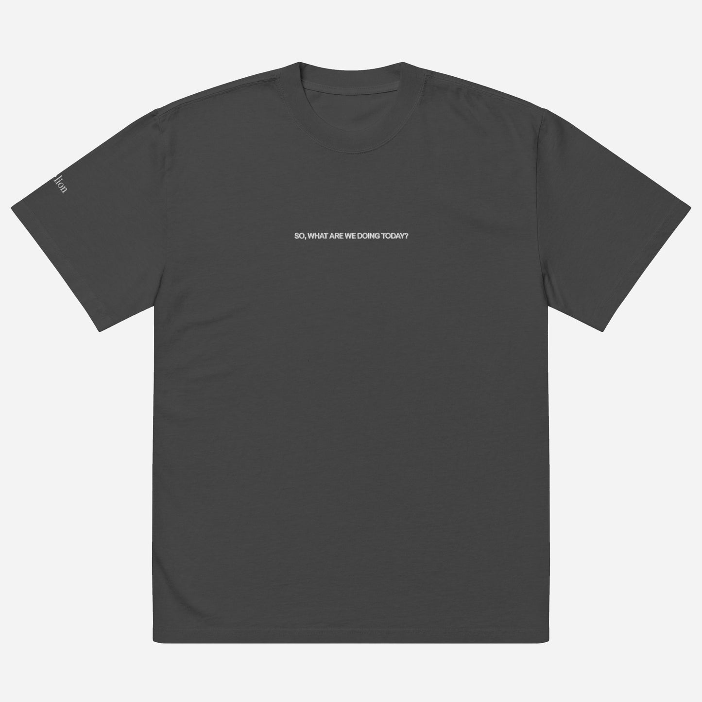 SO, WHAT ARE WE DOING TODAY? Oversized faded t-shirt | Front & Sleeve Embroidery | White